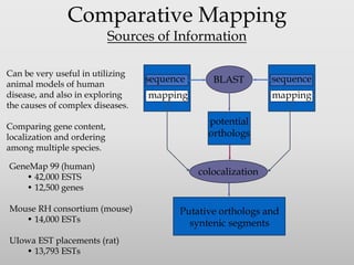 Gene mapping | PDF