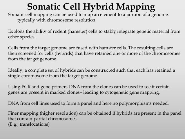 Gene Mapping Video Biomolecules Khan Academy