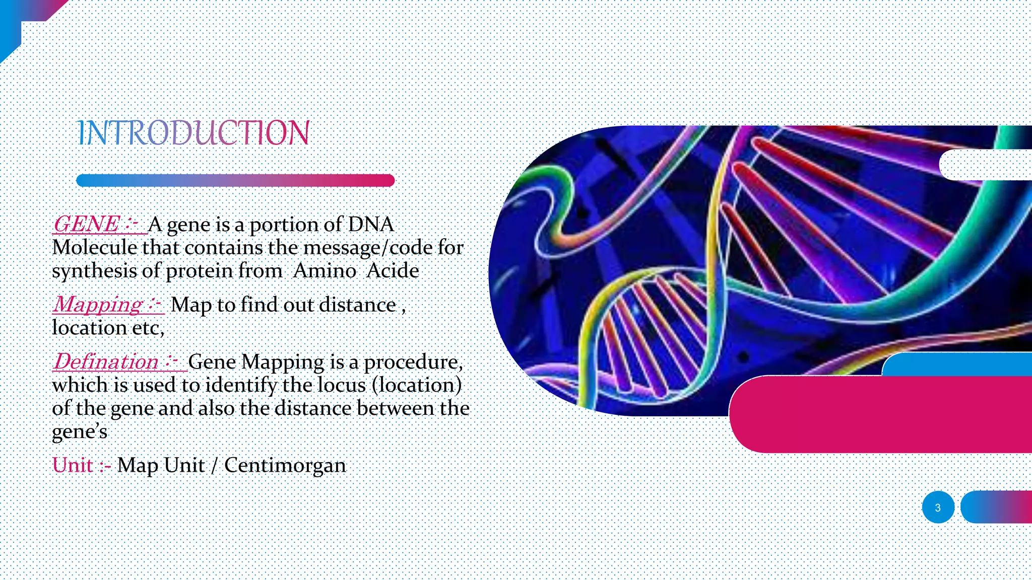 GENE MAPPING.pptx | Free Download