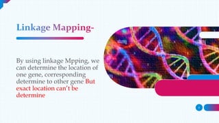 GENE MAPPING.pptx