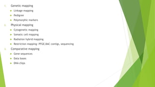 Gene mapping and cloning of disease gene | PPTX