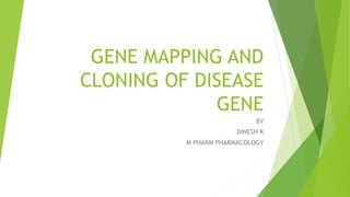 GENE MAPPING AND
CLONING OF DISEASE
GENE
BY
DINESH K
M PHARM PHARMACOLOGY
 