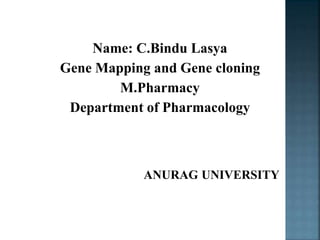 Name: C.Bindu Lasya
Gene Mapping and Gene cloning
M.Pharmacy
Department of Pharmacology
ANURAG UNIVERSITY
 
