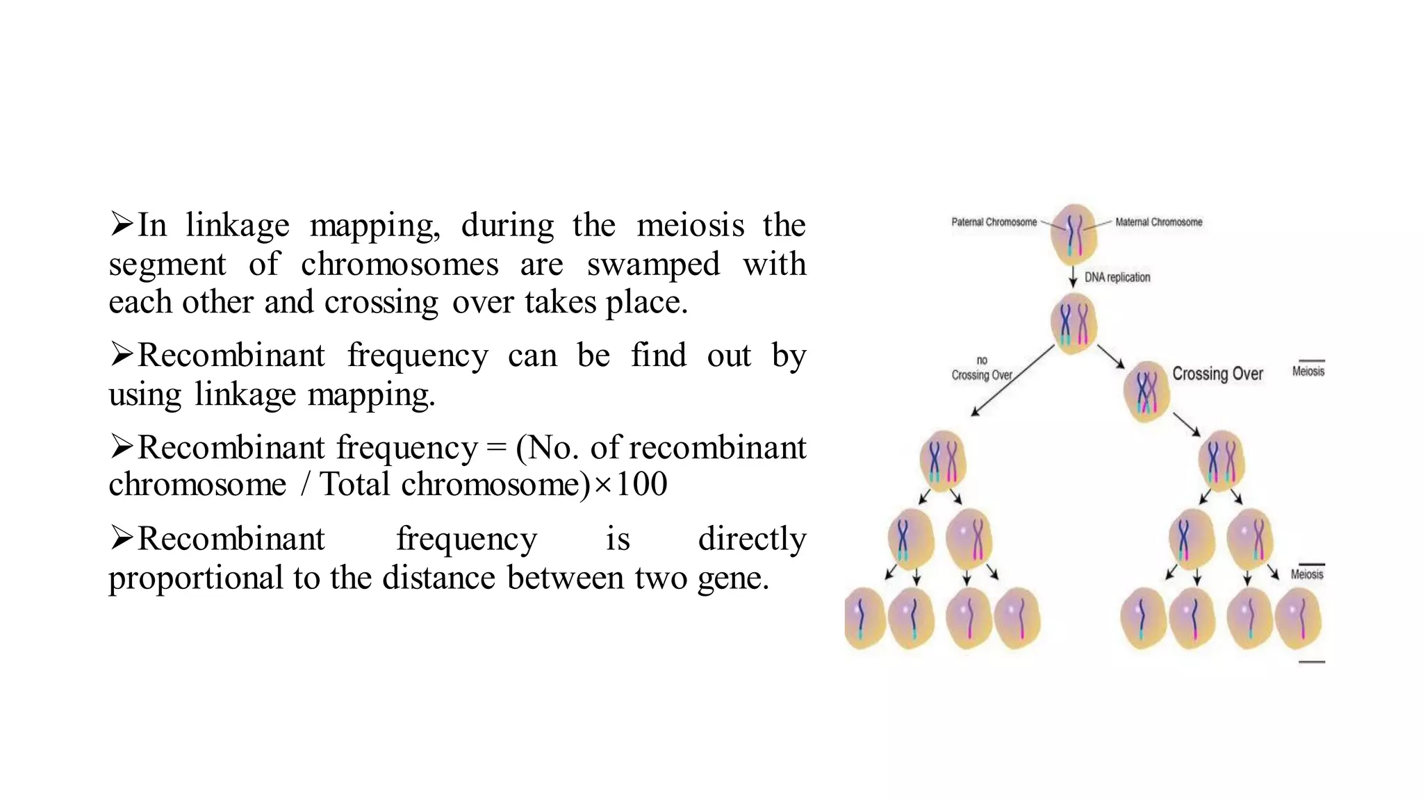 Gene Mapping.pdf
