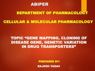 ABIPER
TOPIC “GENE MAPPING, CLONING OF
DISEASE GENE, GENETIC VARIATION
IN DRUG TRANSPORTERS”
PREPARED BY:
RAJESH YADAV
DEPARTMENT OF PHARMACOLOGY
CELLULAR & MOLECULAR PHARMACOLOGY
 