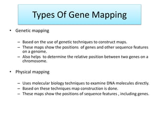 Mapping Method For Biology genemappingmethods-180821040830.qqqqqpdf | PDF