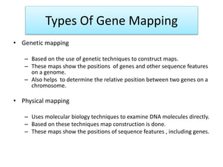Gene mapping methods | PPT