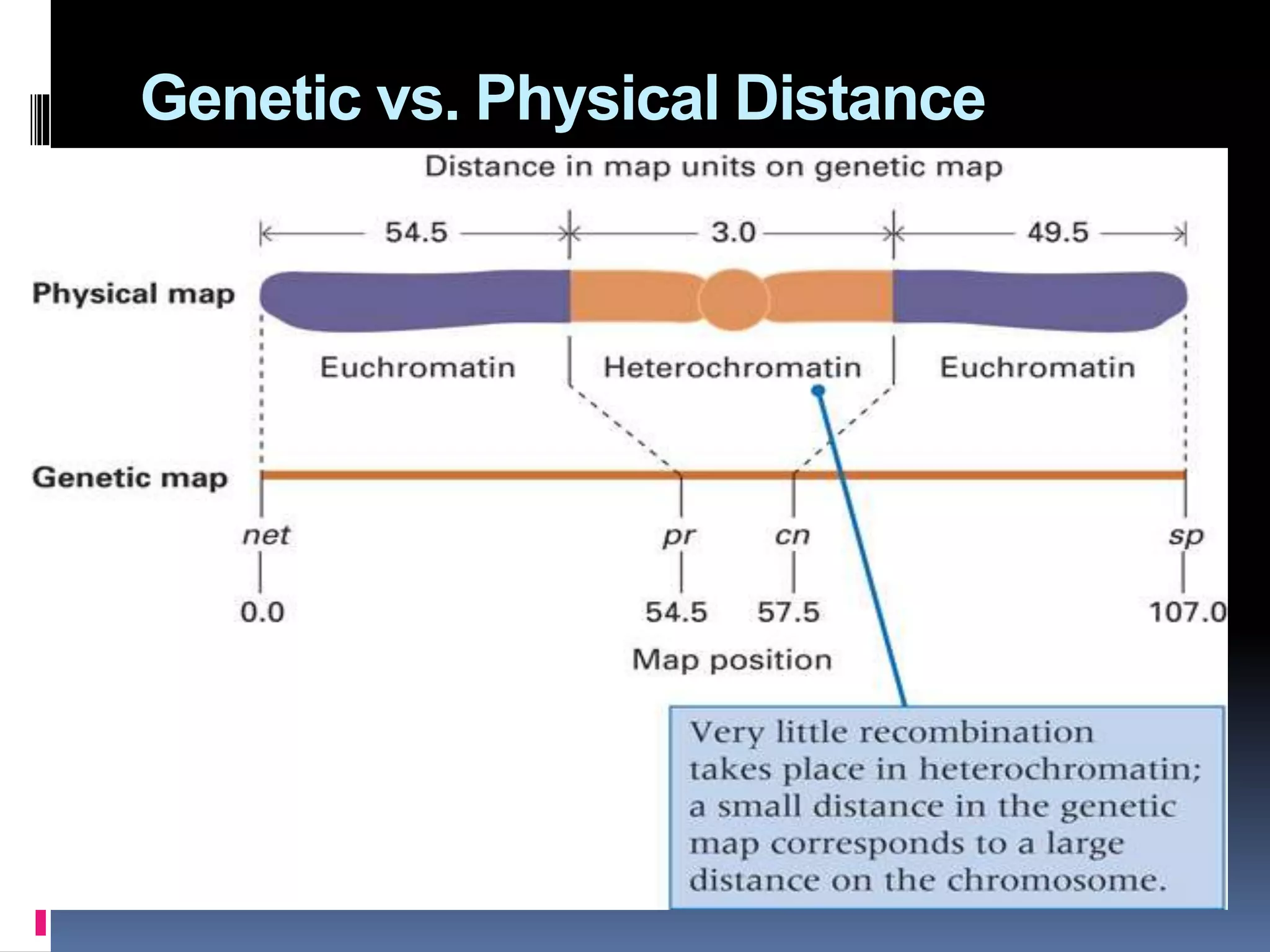 Genetic vs. Physical Distance
 