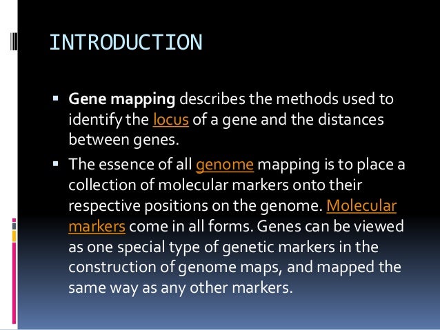 gene mapping ppt