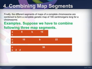 4. Combining Map Segments
Finally, the different segments of maps of a complete chromosome are
combined to form a complete genetic map of 100 centimorgans long for a
chromosome.
Examples. Suppose we have to combine
following three map segments.
a 8 b 10
c
c 10 b 22
d
c 30
e 2 d
 