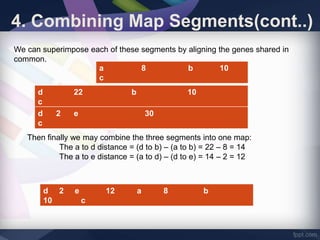 4. Combining Map Segments(cont..)
We can superimpose each of these segments by aligning the genes shared in
common.
a 8 b 10
c
d 22 b 10
c
d 2 e 30
c
Then finally we may combine the three segments into one map:
The a to d distance = (d to b) – (a to b) = 22 – 8 = 14
The a to e distance = (a to d) – (d to e) = 14 – 2 = 12
d 2 e 12 a 8 b
10 c
 