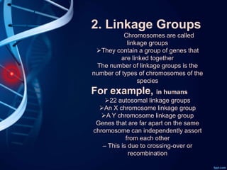 2. Linkage Groups
Chromosomes are called
linkage groups
They contain a group of genes that
are linked together
The number of linkage groups is the
number of types of chromosomes of the
species
For example, in humans
22 autosomal linkage groups
An X chromosome linkage group
A Y chromosome linkage group
Genes that are far apart on the same
chromosome can independently assort
from each other
– This is due to crossing-over or
recombination
 