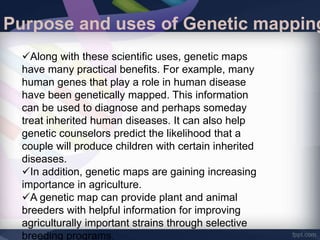 Purpose and uses of Genetic
mapping
 Along with these scientific uses, genetic maps
have many practical benefits. For example, many
human genes that play a role in human disease
have been genetically mapped. This information
can be used to diagnose and perhaps someday
treat inherited human diseases. It can also help
genetic counselors predict the likelihood that a
couple will produce children with certain inherited
diseases.
 In addition, genetic maps are gaining increasing
importance in agriculture.
 A genetic map can provide plant and animal
breeders with helpful information for improving
agriculturally important strains through selective
Purpose and uses of Genetic mapping
Along with these scientific uses, genetic maps
have many practical benefits. For example, many
human genes that play a role in human disease
have been genetically mapped. This information
can be used to diagnose and perhaps someday
treat inherited human diseases. It can also help
genetic counselors predict the likelihood that a
couple will produce children with certain inherited
diseases.
In addition, genetic maps are gaining increasing
importance in agriculture.
A genetic map can provide plant and animal
breeders with helpful information for improving
agriculturally important strains through selective
breeding programs.
 