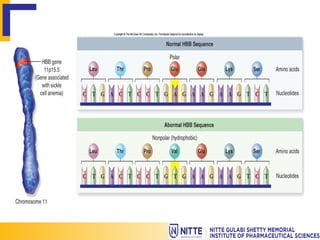 gene mapping presentation Molecular Biology | PPTX