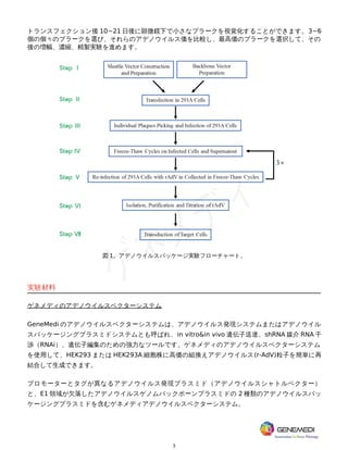 3
トランスフェクション後 10~21 日後に顕微鏡下で小さなプラークを視覚化することができます。3~6
個の個々のプラークを選び、それらのアデノウイルス価を比較し、最高価のプラークを選択して、その
後の増幅、濃縮、精製実験を進めます。
図 1。アデノウイルスパッケージ実験フローチャート。
実験材料
ゲネメディのアデノウイルスベクターシステム
GeneMedi のアデノウイルスベクターシステムは、アデノウイルス発現システムまたはアデノウイル
スパッケージングプラスミドシステムとも呼ばれ、in vitro&in vivo 遺伝子送達、shRNA 媒介 RNA 干
渉（RNAi）、遺伝子編集のための強力なツールです。ゲネメディのアデノウイルスベクターシステム
を使用して、HEK293 または HEK293A 細胞株に高価の組換えアデノウイルス(r-AdV)粒子を簡単に再
結合して生成できます。
プロモーターとタグが異なるアデノウイルス発現プラスミド（アデノウイルスシャトルベクター）
と、E1 領域が欠落したアデノウイルスゲノムバックボーンプラスミドの 2 種類のアデノウイルスパッ
ケージングプラスミドを含むゲネメディアデノウイルスベクターシステム。
 