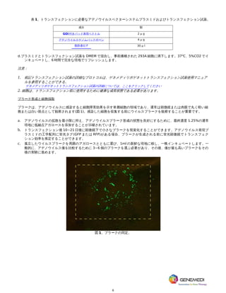 6
表 1。トランスフェクションに必要なアデノウイルスベクターシステムプラスミドおよびトランスフェクション試薬。
成分 額
GOI 付きパッド表現ベクトル 2 μ g
アデノウイルスゲノムバックボーン 4 μ g
脂肪遺伝子 30 μ l
d.プラスミドとトランスフェクション試薬を DMEM で混合し、事前播種された 293A 細胞に滴下します。37℃、5%CO2 でイ
ンキュベートし、6 時間で完全な培地でリフレッシュします。
注意：
1. 前記トランスフェクション試薬の詳細なプロトコルは、ゲネメディリポゲネットトランスフェクション試薬使用マニュア
ルを参照することができる。
ゲネメディリポゲネットトランスフェクション試薬の詳細については、ここをクリックしてください
2. 細胞は、トランスフェクション前に使用するために健康な成長状態である必要があります。
プラーク形成と細胞採取
プラークは、アデノウイルスに感染すると細胞障害効果を示す単層細胞の領域であり、通常は顕微鏡または肉眼で丸く暗い細
胞または白い斑点として観察されます(図 1)。感染した細胞を収集する前にウイルスプラークを観察することが重要です。
a. アデノウイルスの拡散を最小限に抑え、アデノウイルスプラーク形成の状態を良好にするために、最終濃度 1.25%の通常
培地に低融点アガロースを添加することが示唆されています。
b. トランスフェクション後 10~21 日後に顕微鏡下で小さなプラークを視覚化することができます。アデノウイルス発現プ
ラスミドの工学配列に蛍光タグ(GFP または RFP)がある場合、プラークが生成される前に蛍光顕微鏡でトランスフェク
ション効率を推定することができます。
c. 孤立したウイルスプラークを周囲のアガロースとともに選び、1ml の新鮮な培地に移し、一晩インキュベートします。一
般的に、アデノウイルス価を比較するために 3~6 個のプラークを選ぶ必要があり、その後、価が最も高いプラークをその
後の実験に進めます。
図 1。プラークの同定。
 
