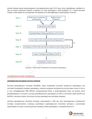 3
мелкие бляшки можно визуализировать под микроскопом через 10-21 день после трансфекции. выберите от
трех до шести отдельных бляшек и сравните их титр аденовируса, затем выберите ту с самым высоким
титром, чтобы провести последующие эксперименты по амплификации, концентрации и очистке.
рисунок 1. Блок-схема эксперимента по упаковке аденовируса.
экспериментальные материалы
аденовирусная векторная система генемеди
Система аденовирусных векторов GeneMedi, также называемая системой экспрессии аденовируса или
системой плазмидной упаковки аденовируса, является мощным инструментом для доставки генов in vitro и
in vivo, интерференции РНК (RNAi), опосредованной Shrna, и редактирования генов. вы можете легко
рекомбинировать и получить частицу рекомбинантного аденовируса (r-AdV) в клеточной линии hek293 или
hek293a с высоким титром, используя систему аденовирусных векторов генемеди.
система аденовирусных векторов генемеди, включающая в себя два типа аденовирусных упаковочных
плазмид: экспрессионные плазмиды аденовируса (аденовирусные челночные векторы) с различными
промоторами и тегами, и магистральную плазмиду генома аденовируса с делецией области e1.
 