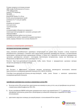 5
Гелевые аппараты и источники питания
ДНК шкафы биобезопасности II класса
37 орбитальный
℃
шейкер 37 инкубатор
℃
бактерий
37 , 5% инкубатор CO2
℃
Конические трубки 15 и 50 мл
Колбы для культивирования тканей
размером 25 и 75 см2 для скребок
клеток
резервуар для жидкого
азота для сухого
льда/метаноловой
ванны
ультрацентрифуга (бекман) или эквивалент с
низкоскоростной центрифугой с качанием с ротором sw28
микроцентрифуга
центрифугационная трубка (толстостенная
поликарбонатная трубка с крышкой) кольцевая подставка и
зажим, шприцы объемом 3 мл и иголки объемом 18 г
упаковка и концентрация аденовируса
векторная конструкция аденовируса
перед упаковкой рекомбинантного аденовируса интересующий ген должен быть построен в вектор экспрессии
рекомбинантного аденовируса. Genemedi также предоставляет различные аденовирусные векторы с альтернативными
промоторами и флуоресцентными маркировками (таблица 1). Более того, у genemedi есть множество предварительно
сделанных аденовирусных векторов с некоторыми генетическими инструментами, такими как биосенсоры для
обнаружения аутофагического потока аденовирус-lc3 и т. д.
Посетите https://www.genemedi.net/i/virus-plasmid, чтобы узнать больше о предварительно сделанных векторах
экспрессии аденовирусов orf/cdna генемеди.
Примечание:
Для быстрого и эффективного построения векторов настоятельно рекомендуется использовать комплект
одноступенчатого клонирования genemedi-cloneasytm (Cat. GM-GC-01/02/03).
Visit https://www.genemedi.net/i/cloneasy-one-step-cloning-kit, чтобы узнать больше о комплекте одношагового
клонирования genemedi-cloneasytm
трансфекция аденовирусных плазмид в упаковочные клетки 293a
a. Культура клеток 293a должна быть приготовлена как минимум за день до того, как до трансфекции она достигает
слияния монослойной морфологии 50%-70%.
b. В день трансфекции DMEM необходимо предварительно нагреть при водяной ванне 37 ° C, а реагент для
трансфекции липогенетма должен быть сбалансирован до комнатной температуры и перемешит его перед
использованием.
c. приготовить вирусные плазмиды для каждой реакции с использованием 60 мм тарелки:
 