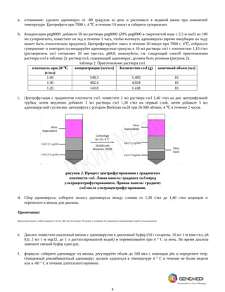 8
a. оттаивание: удалите аденовирус от -80 градусов за день и расплавьте в водяной ванне при комнатной
температуре. Центрифуги при 7000 г, 4 в течение 10 минут и соберите супернатант.
℃
b. Конденсация peg8000: добавьте 50 мл раствора peg8000 (20% peg8000 в сверхчистой воде с 2,5 м nacl) на 100
мл супернатанта, поместите на льд в течение 1 часа, чтобы вытянуть аденовирусы (время инкубации на льду
может быть относительно продлено). Центрифугируйте смесь в течение 20 минут при 7000 г, 4 , отбросьте
℃
супернатант и повторно суспендируйте аденовирусные гранулы в 10 мл раствора cscl с плотностью 1,10 г/мл
(растворитель cscl составляет 20 мм три-гкл, ph8,0, пожалуйста, см. следующий способ приготовления
раствора cscl в таблице 2). раствор cscl, содержащий аденовирус, должен быть розовым (рисунок 2).
таблица 2. Приготовление раствора cscl.
плотность при 20 ℃
(г/мл)
концентрация (мл/мл) Количество cscl (g) конечный объем (мл)
1.40 548.3 5.483 10
1.30 402.4 4.024 10
1.20 143.8 1.438 10
c. Центрофугация с градиентом плотности cscl: поместите 2 мл раствора cscl 1,40 г/мл на дно центрифужной
трубки, затем медленно добавьте 3 мл раствора cscl 1,30 г/мл на первый слой, затем добавьте 5 мл
аденовирусной суспензии. центрифуга с ротором Beckman sw28 при 26 000 об/мин, 4 в течение 2 часов.
℃
рисунок 2. Процесс центрифугирования с градиентом
плотности cscl. Левая панель: градиент cscl перед
ультрацентрифугированием. Правая панель: градиент
cscl после ультрацентрифугирования.
d. Сбор аденовируса: соберите полосу аденовируса между слоями от 1,30 г/мл до 1,40 г/мл шприцом и
перенесите в мешок для диализа.
Примечание:
Диализный мешок следует варить в 10 мм edta-na2 в течение 10 минут и охладить до комнатной температуры перед использованием.
e. Диализ: поместите диализный мешок с аденовирусом в диализный буфер (50 г сахарозы, 10 мл 1 м трис-гкл, ph
8,0, 2 мл 1 м mgcl2, до 1 л дистиллированной водой) и перемешивайте при 4 ° C за ночь. Во время диализа
замените свежий буфер один раз.
f. формула: соберите аденовирус из мешка, регулируйте объем до 500 мкл с помощью pbs и определите титр.
Очищенный рекомбинантный аденовирус должен храниться в температуре 4 ° C в течение не более недели
или в -80 ° C в течение длительного времени.
 