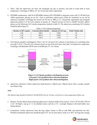 8
a. Thaw: Take the adenovirus out from -80 centigrade one day in advance, and melt in water bath at room
temperature. Centrifuge at 7000 g, 4℃ for 10 min and collect supernatant.
b. PEG8000 condensation: Add 50 ml PEG8000 solution (20% PEG8000 in ultra-pure water with 2.5 M NaCl) per
100ml supernatant, placing on ice for 1 hour to pull-down adenoviruses (Time for incubation on ice can be
relatively extended). Centrifuge the mixture for 20 min at 7000 g, 4℃, discard the supernatant and resuspend
adenovirus pellet in 10 ml CsCl solution at density of 1.10g/ml (solvent of CsCl is 20mM Tris-HCl, pH8.0,
please see the following CsCl solution preparation method in table 2). The adenovirus-containing CsCl solution
should be pink (Figure 2).
Table 2. CsCl solution preparation.
Density at 20℃ (g/ml) Concentration (ml/ml) Amount of CsCl (g) Final Volume (ml)
1.40 548.3 5.483 10
1.30 402.4 4.024 10
1.20 143.8 1.438 10
c. CsCl density gradient centrifugation: Place 2 ml of 1.40 g/ml CsCl solution on the bottom of a centrifuge tube,
next add 3 ml of 1.30 g/ml CsCl solution slowly on top of the first layer, then add 5 ml adenovirus suspension.
Centrifuge with Beckman SW28 rotor at 26,000 rpm, 4℃ for 2 hours.
Figure 2. CsCl density gradient centrifugation process.
Left panel: CsCl gradient before ultracentrifugation.
Right panel: CsCl gradient after ultracentrifugation.
d. adenovirus collection: Collect adenovirus band between 1.30g/ml and 1.40g/ml layers with a syringe, transfer
into dialysis bag.
Note:
The dialysis bag should be boiled in 10 mM EDTA-Na2 for 10 min, cool down to room temperature before use.
e. Dialysis: Put the dialysis bag containing adenovirus in dialysis buffer (50 g sucrose, 10 ml 1 M Tris-HCl, PH 8.0,
2 ml 1 M MgCl2, top up to 1 L by distilled water), and stir at 4℃ overnight. Replace with fresh buffer once
during dialysis.
f. Formulation: Collect adenovirus from the bag, adjust volume to 500 µl with PBS, and determine the titer.
Purified recombinant adenovirus should be kept in 4℃ for no more than a week or in -80℃ for long time storage.
GeneMedi
 