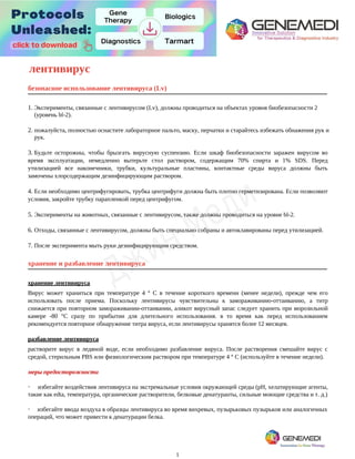1
лентивирус
безопасное использование лентивируса (Lv)
1. Эксперименты, связанные с лентивирусом (Lv), должны проводиться на объектах уровня биобезопасности 2
(уровень bl-2).
2. пожалуйста, полностью оснастите лабораторное пальто, маску, перчатки и старайтесь избежать обнажения рук и
рук.
3. Будьте осторожны, чтобы брызгать вирусную суспензию. Если шкаф биобезопасности заражен вирусом во
время эксплуатации, немедленно вытерьте стол раствором, содержащим 70% спирта и 1% SDS. Перед
утилизацией все наконечники, трубки, культуральные пластины, контактные среды вируса должны быть
замочены хлорсодержащим дезинфицирующим раствором.
4. Если необходимо центрифугировать, трубка центрифуги должна быть плотно герметизирована. Если позволяют
условия, закройте трубку парапленкой перед центрифугом.
5. Эксперименты на животных, связанные с лентивирусом, также должны проводиться на уровне bl-2.
6. Отходы, связанные с лентивирусом, должны быть специально собраны и автоклавированы перед утилизацией.
7. После эксперимента мыть руки дезинфицирующим средством.
хранение и разбавление лентивируса
хранение лентивируса
Вирус может храниться при температуре 4 ° C в течение короткого времени (менее недели), прежде чем его
использовать после приема. Поскольку лентивирусы чувствительны к замораживанию-оттаиванию, а титр
снижается при повторном замораживании-оттаивании, аликот вирусный запас следует хранить при морозильной
камере -80 °C сразу по прибытии для длительного использования. в то время как перед использованием
рекомендуется повторное обнаружение титра вируса, если лентивирусы хранятся более 12 месяцев.
разбавление лентивируса
растворите вирус в ледяной воде, если необходимо разбавление вируса. После растворения смешайте вирус с
средой, стерильным PBS или физиологическим раствором при температуре 4 ° C (используйте в течение недели).
меры предосторожности
· избегайте воздействия лентивируса на экстремальные условия окружающей среды (pH, хелатирующие агенты,
такие как edta, температура, органические растворители, белковые денатуранты, сильные моющие средства и т. д.)
· избегайте ввода воздуха в образцы лентивируса во время вихревых, пузырьковых пузырьков или аналогичных
операций, что может привести к денатурации белка.
 