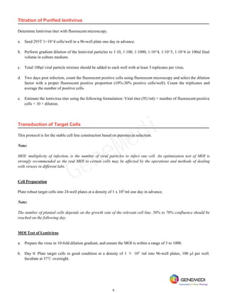 6
Titration of Purified lentivirus
Determine lentivirus titer with fluorescent microscopy.
a. Seed 293T 1×10^4 cells/well in a 96-well plate one day in advance.
b. Perform gradient dilution of the lentiviral particles to 1:10, 1:100, 1:1000, 1:10^4, 1:10^5, 1:10^6 in 100ul final
volume in culture medium.
c. Total 100μl viral particle mixture should be added to each well with at least 3 replicates per virus.
d. Two days post infection, count the fluorescent positive cells using fluorescent microscopy and select the dilution
factor with a proper fluorescent positive proportion (10%-30% positive cells/well). Count the triplicates and
average the number of positive cells.
e. Estimate the lentivirus titer using the following formulation: Viral titer (TU/ml) = number of fluorescent positive
cells × 10 × dilution.
Transduction of Target Cells
This protocol is for the stable cell line construction based on puromycin selection.
Note:
MOI: multiplicity of infection, is the number of viral particles to infect one cell. An optimization test of MOI is
strongly recommended as the real MOI to certain cells may be affected by the operations and methods of dealing
with viruses in different labs.
Cell Preparation
Plate robust target cells into 24-well plates at a density of 1 x 105
/ml one day in advance.
Note:
The number of planted cells depends on the growth rate of the relevant cell line. 50% to 70% confluence should be
reached on the following day.
MOI Test of Lentivirus
a. Prepare the virus in 10-fold dilution gradient, and ensure the MOI is within a range of 3 to 1000.
b. Day 0: Plate target cells in good condition at a density of 1 × 105
/ml into 96-well plates, 100 µl per well.
Incubate at 37℃ overnight.
GeneMedi
 