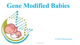 Gene Modified Babies
I.A.B.G.Weerasekara
Gene Modified Babies 1
 