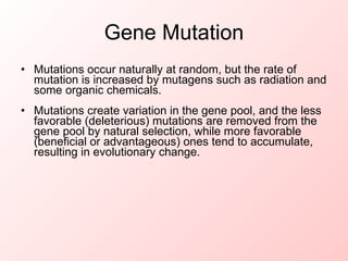Gene Mutation Mutations occur naturally at random, but the rate of mutation is increased by mutagens such as radiation and some organic chemicals. Mutations create variation in the gene pool, and the less favorable (deleterious) mutations are removed from the gene pool by natural selection, while more favorable (beneficial or advantageous) ones tend to accumulate, resulting in evolutionary change.