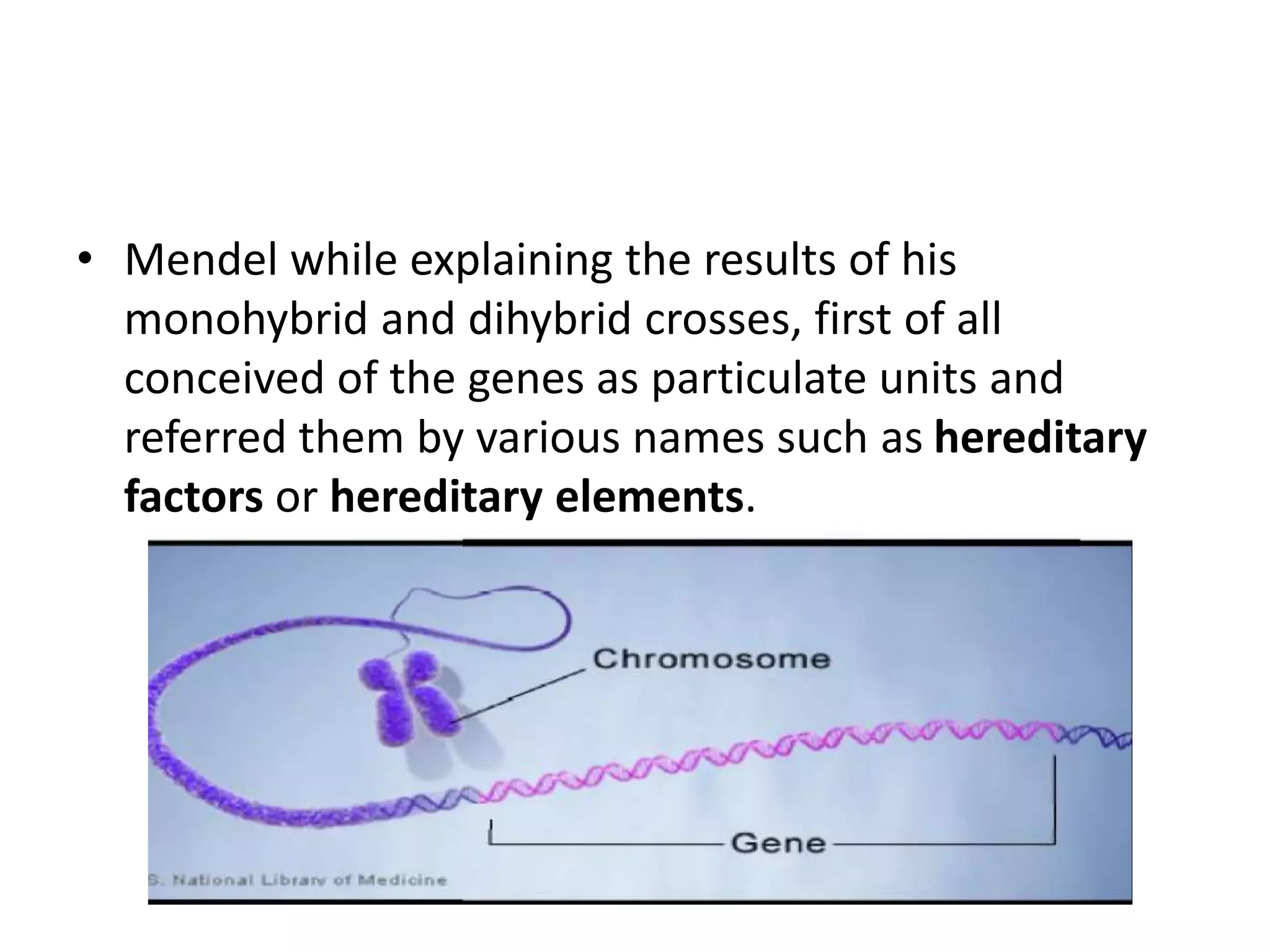 • Mendel while explaining the results of his
monohybrid and dihybrid crosses, first of all
conceived of the genes as particulate units and
referred them by various names such as hereditary
factors or hereditary elements.
 