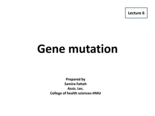Gene mutation
Lecture 6
Prepared by
Samira Fattah
Assis. Lec.
College of health sciences-HMU
 