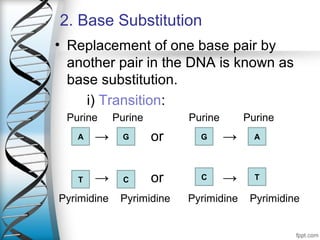 Gene mutation and its types | PPT