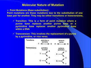 Gene Mutation.ppt