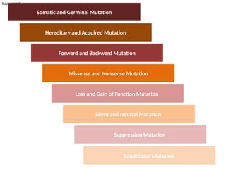Gene Mutation- Introduction, mutagens, causes, consequences, detection ...