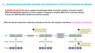 GENE MUTATION: ALL TYPES OF GENE MUTATION | PPTX