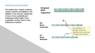 GENE MUTATION: ALL TYPES OF GENE MUTATION | PPTX