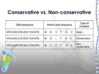 DNA sequence Amino acid sequence
Type of
mutation
ATG CAG GTG ACC TCA GTG M Q V T S V None
ATG CAG CTG ACC TCA GTG M Q L T S V Conservative
ATG CCG GTG ACC TCA GTG M P V T S V
Non-
conservative
Conservative vs. Non-conservative
 