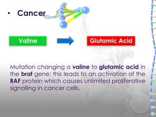 • Cancer
Valine Glutamic Acid
Mutation changing a valine to glutamic acid in
the braf gene; this leads to an activation of the
RAF protein which causes unlimited proliferative
signalling in cancer cells.
 