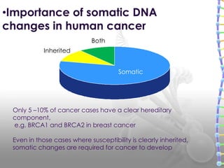 •Importance of somatic DNA
changes in human cancer
Somatic
Inherited
Both
Only 5 –10% of cancer cases have a clear hereditary
component,
e.g. BRCA1 and BRCA2 in breast cancer
Even in those cases where susceptibility is clearly inherited,
somatic changes are required for cancer to develop
 