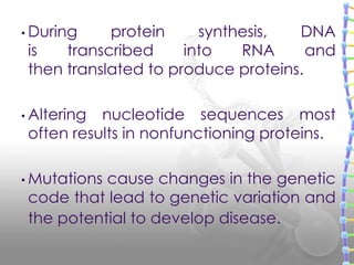 • During protein synthesis, DNA
is transcribed into RNA and
then translated to produce proteins.
• Altering nucleotide sequences most
often results in nonfunctioning proteins.
• Mutations cause changes in the genetic
code that lead to genetic variation and
the potential to develop disease.
 