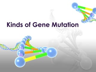 Kinds of Gene Mutation
 