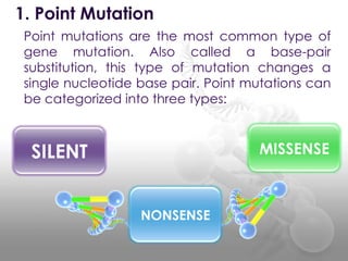 Point mutations are the most common type of
gene mutation. Also called a base-pair
substitution, this type of mutation changes a
single nucleotide base pair. Point mutations can
be categorized into three types:
1. Point Mutation
SILENT MISSENSE
NONSENSE
 