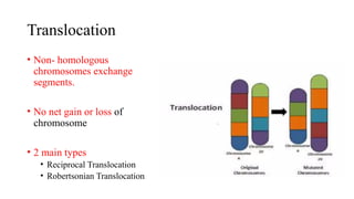 Translocation
• Non- homologous
chromosomes exchange
segments.
• No net gain or loss of
chromosome
• 2 main types
• Reciprocal Translocation
• Robertsonian Translocation
 