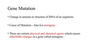 Gene Mutation
• Change in amount or structure of DNA of an organism.
• Cause of Mutation - Also k/a mutagens
• There are certain physical and chemical agents which causes
inheritable changes in a gene called mutagens.
 