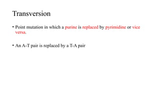 Transversion
• Point mutation in which a purine is replaced by pyrimidine or vice
versa.
• An A-T pair is replaced by a T-A pair
 