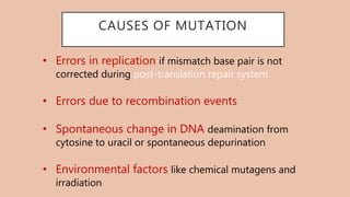 Gene mutation and Regulation of Gene expression | PPTX