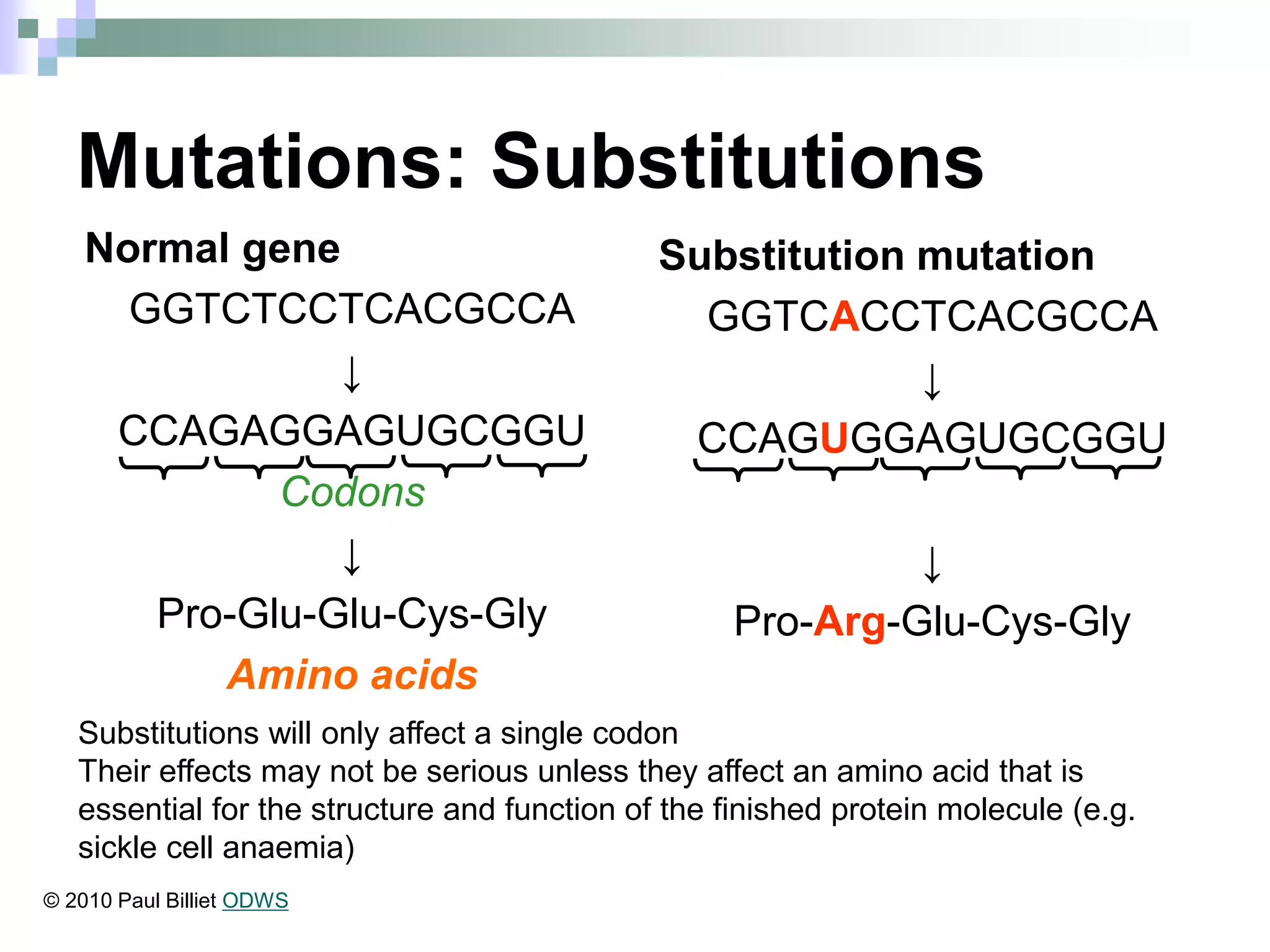 Mutations: Substitutions
Substitution mutation
GGTCACCTCACGCCA
↓
CCAGUGGAGUGCGGU
↓
Pro-Arg-Glu-Cys-Gly
Substitutions will only affect a single codon
Their effects may not be serious unless they affect an amino acid that is
essential for the structure and function of the finished protein molecule (e.g.
sickle cell anaemia)
Normal gene
GGTCTCCTCACGCCA
↓
CCAGAGGAGUGCGGU
Codons
↓
Pro-Glu-Glu-Cys-Gly
Amino acids
© 2010 Paul Billiet ODWS
 