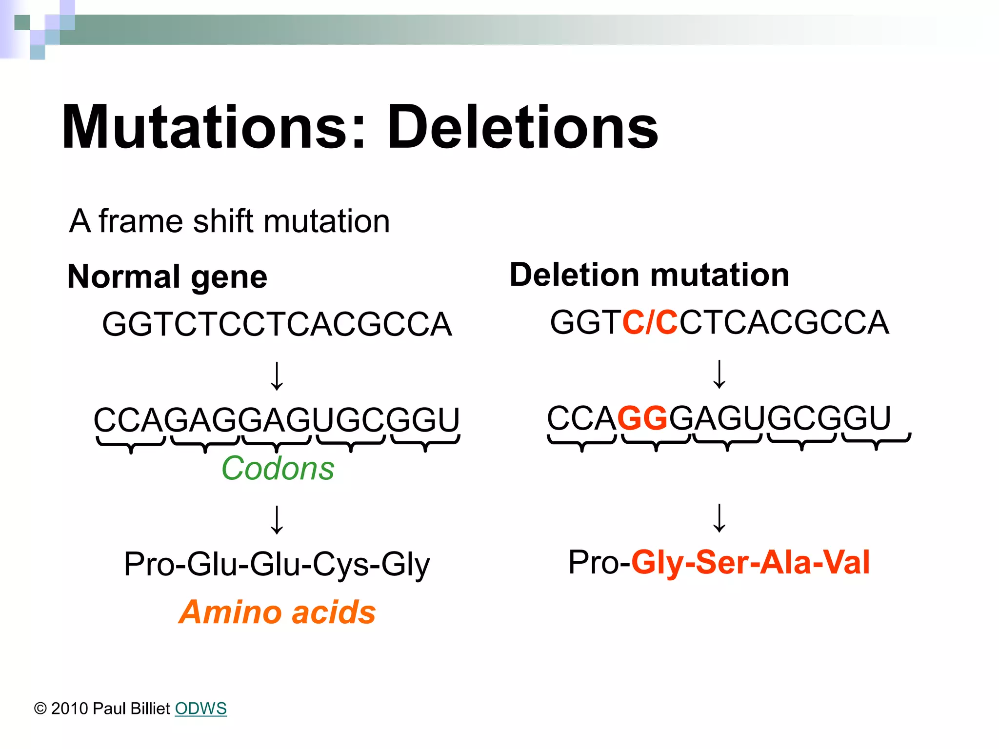 Mutations: Deletions
Normal gene
GGTCTCCTCACGCCA
↓
CCAGAGGAGUGCGGU
Codons
↓
Pro-Glu-Glu-Cys-Gly
Amino acids
Deletion mutation
GGTC/CCTCACGCCA
↓
CCAGGGAGUGCGGU
↓
Pro-Gly-Ser-Ala-Val
A frame shift mutation
© 2010 Paul Billiet ODWS
 