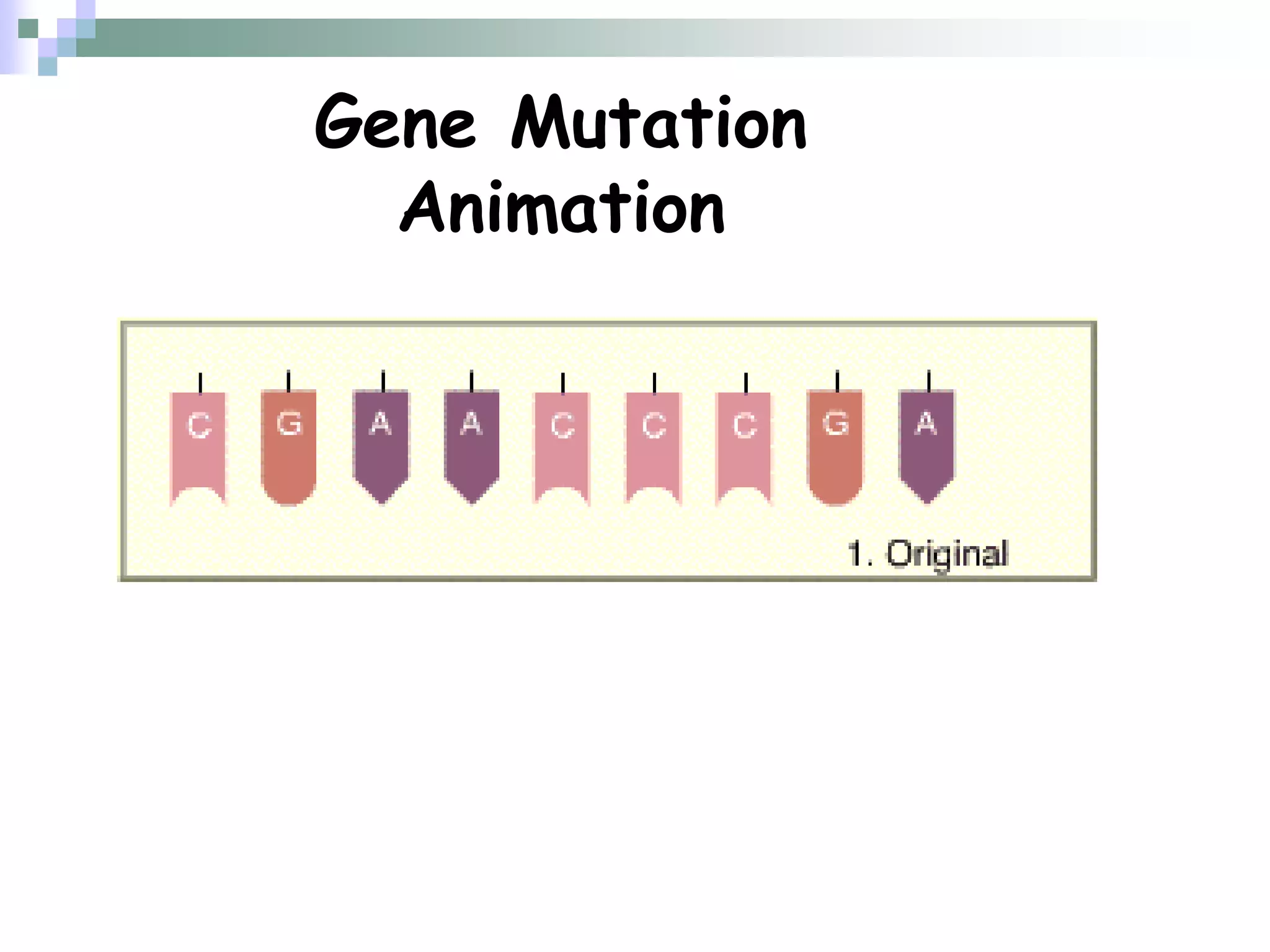 Gene Mutation
Animation
 