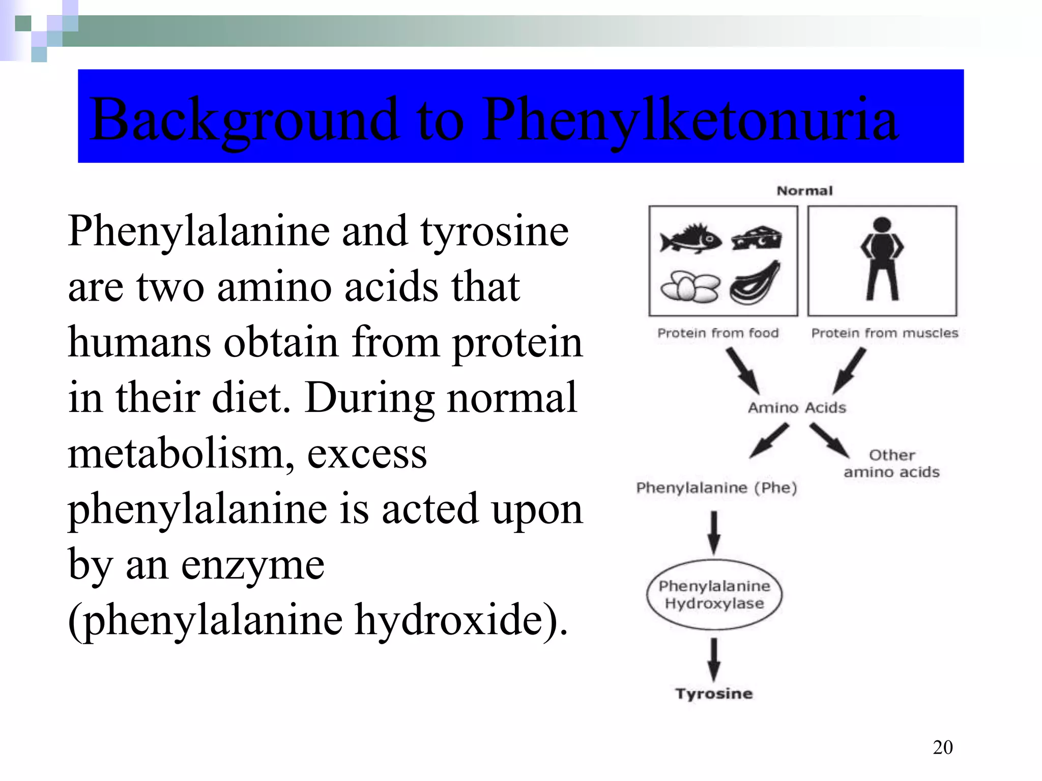 Background to Phenylketonuria
Phenylalanine and tyrosine
are two amino acids that
humans obtain from protein
in their diet. During normal
metabolism, excess
phenylalanine is acted upon
by an enzyme
(phenylalanine hydroxide).
20
 