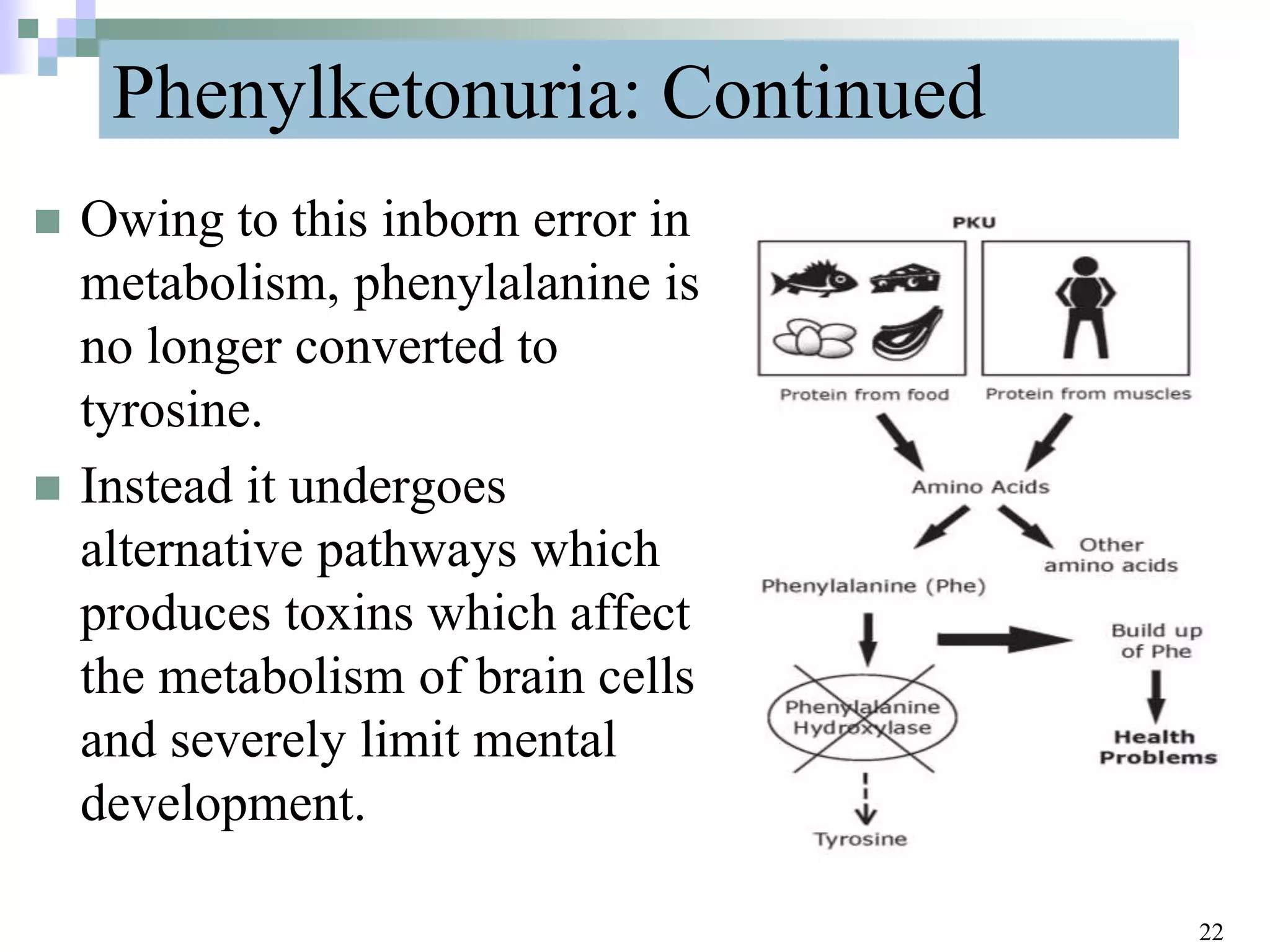 Phenylketonuria: Continued
 Owing to this inborn error in
metabolism, phenylalanine is
no longer converted to
tyrosine.
 Instead it undergoes
alternative pathways which
produces toxins which affect
the metabolism of brain cells
and severely limit mental
development.
22
 